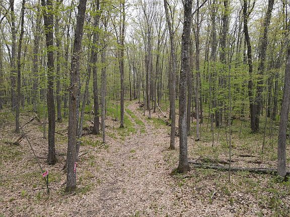 5th image of N8661 Sand Pit Rd