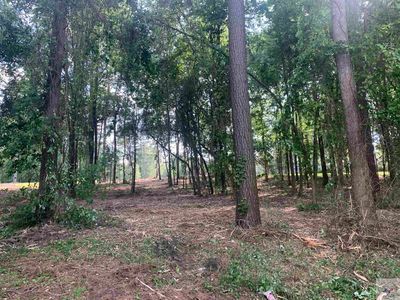 2 Elmwood Rd, Texarkana, TX, 75501