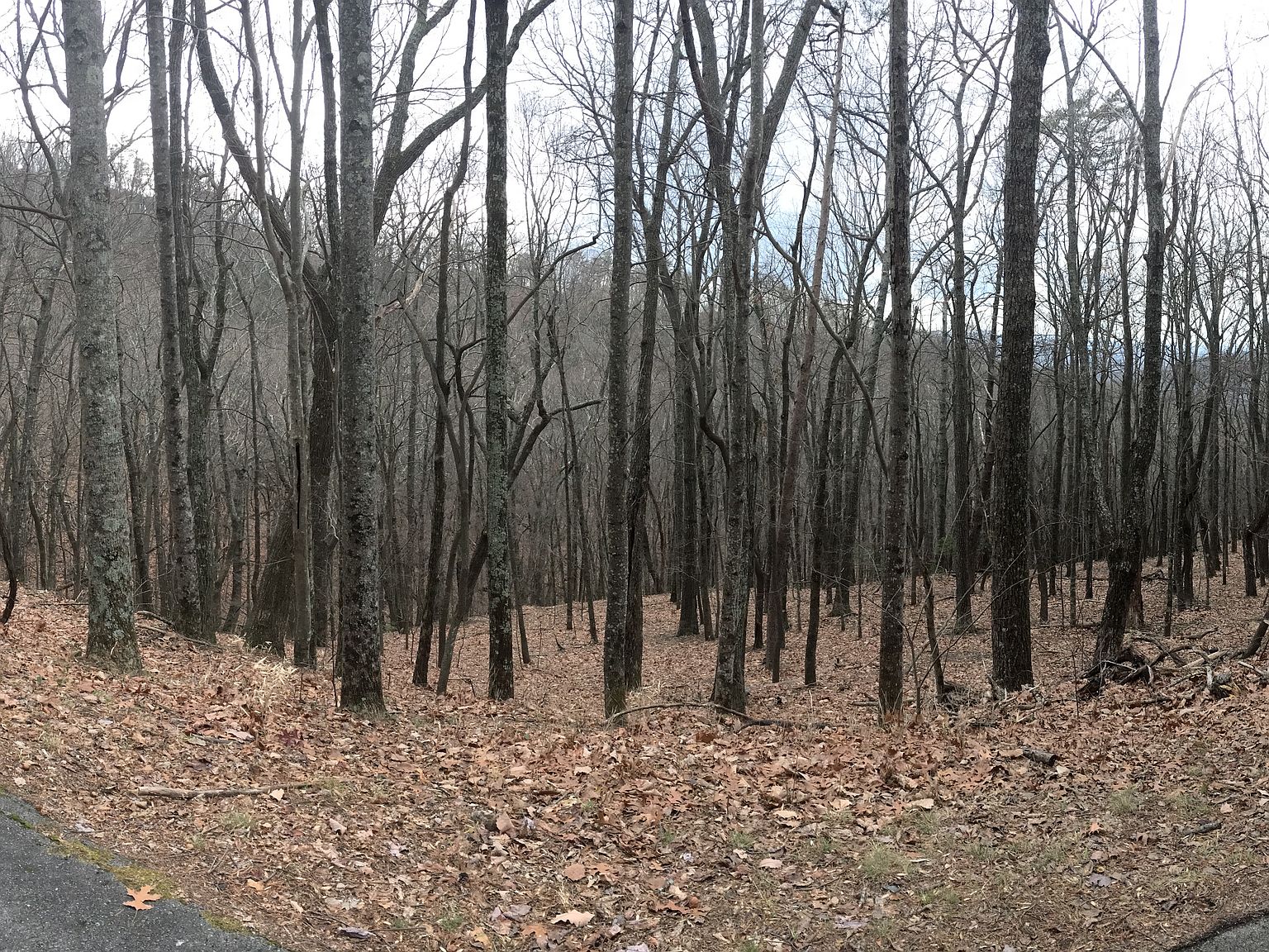 0 Sassafras Mountain Trl, Jasper, GA 30143 Zillow