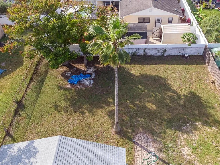 Back yard