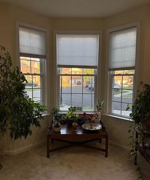 Bay window in living room