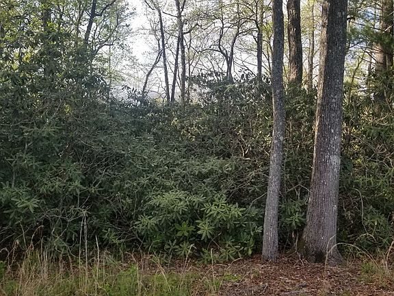 3rd image of Hickory Hill Cir