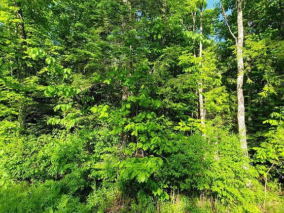 4th image of 40A On Doland Rd