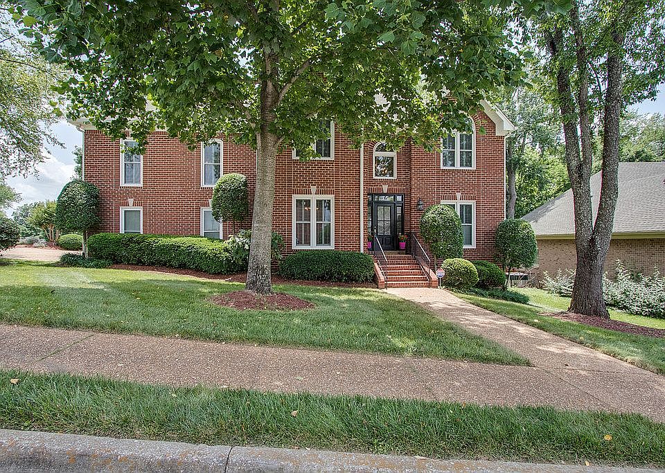 Beautiful Mature Shade Trees