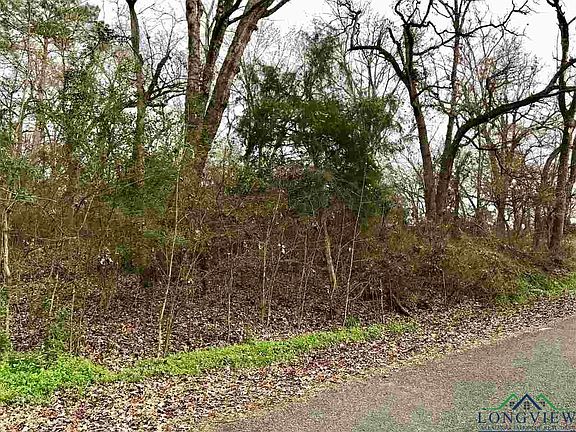 3rd image of 18023 & L8011 Lookout Ln