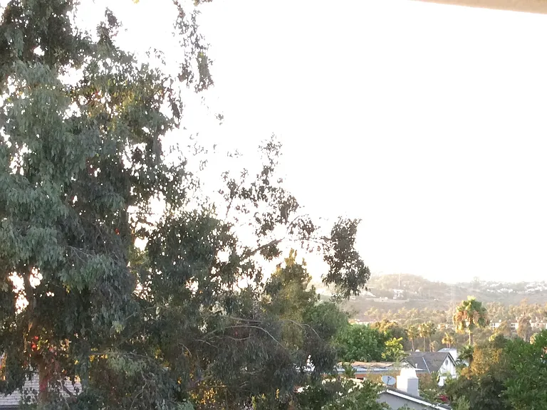 Valley to the ocean