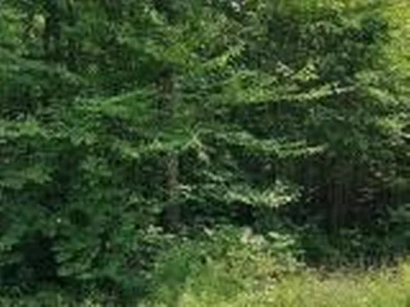 On Diamond Roof Road Wolf Riv, Antigo, WI 54409
