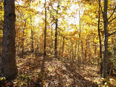 31 Rountree Dr, Bella Vista, AR, 72715