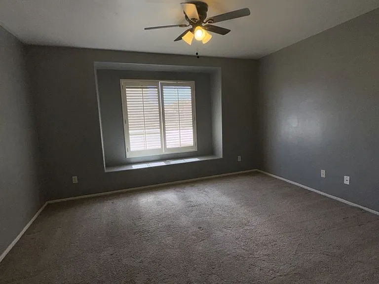 3817 Camino Arroyo — Photo 15