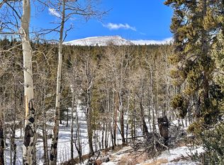 659 Venture Rd, Fairplay, CO 80440