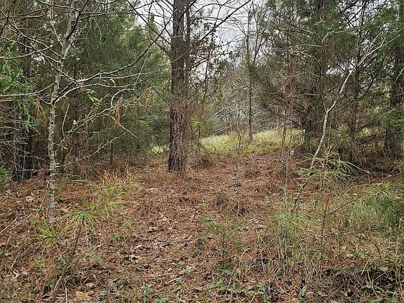 4th image of 109 Pump House Rd