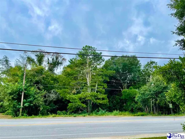 410 N 5th St, Hartsville, SC 29550