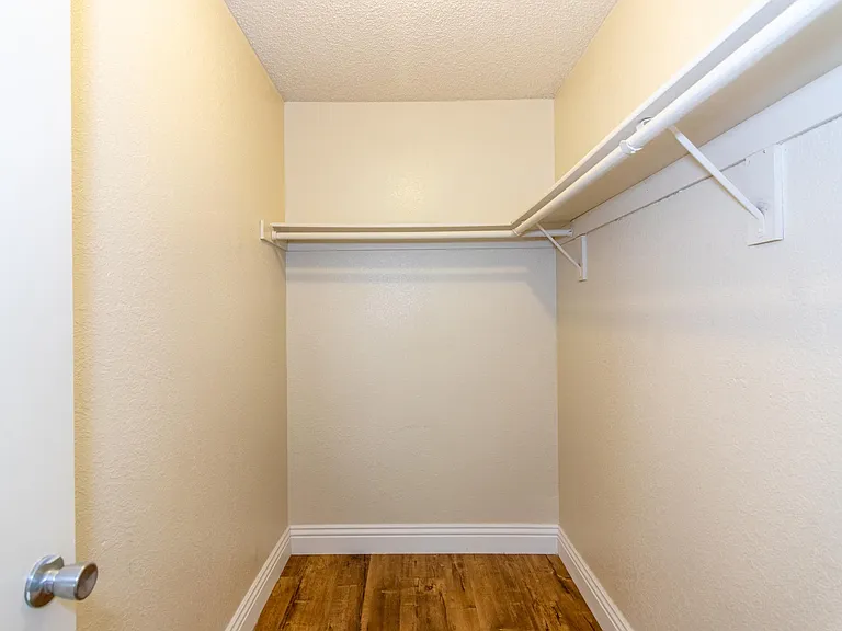 Primary Bedroom: Walk in Closet