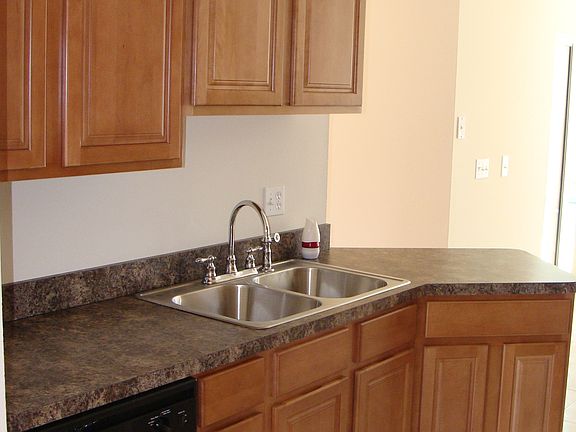 Sink & Dish Washer Area