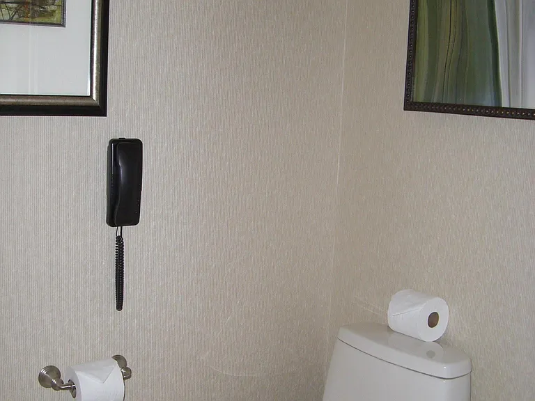 Toilet w/Phone