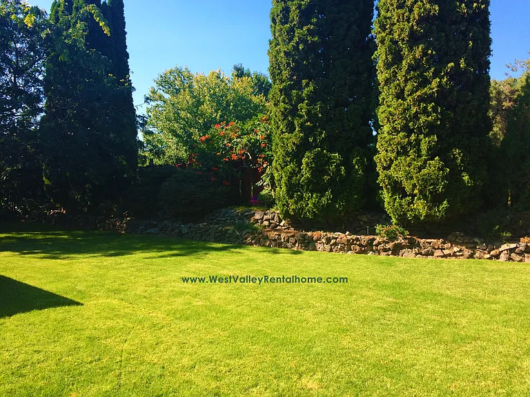 Peaceful giant backyard, totally private and beautiful!