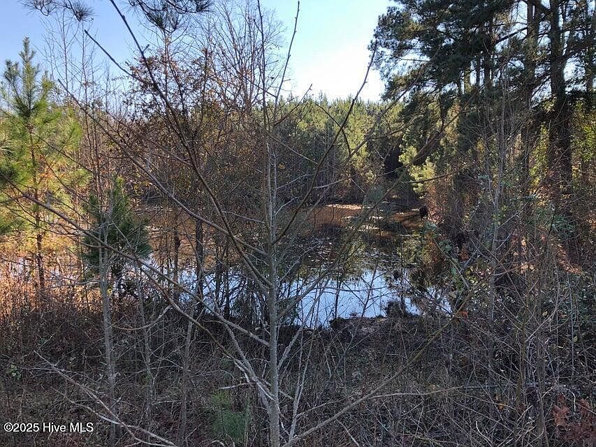 1st image of 316 Old Cheraw Highway