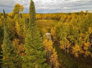 Neumann Rd NE, Kelliher, MN 56650