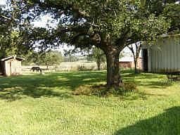 2nd image of 253 County Road 3571