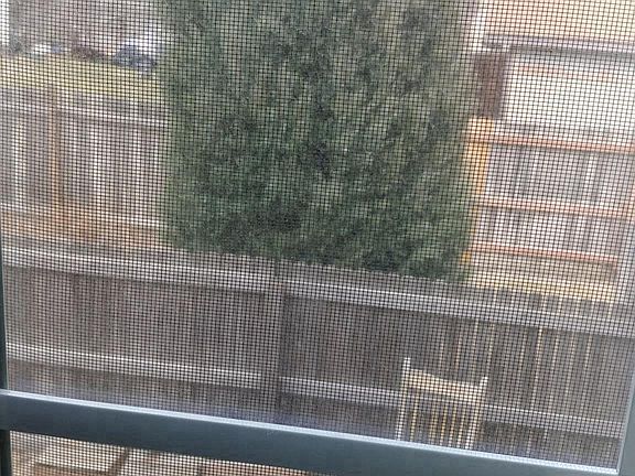 View from bedroom to yard