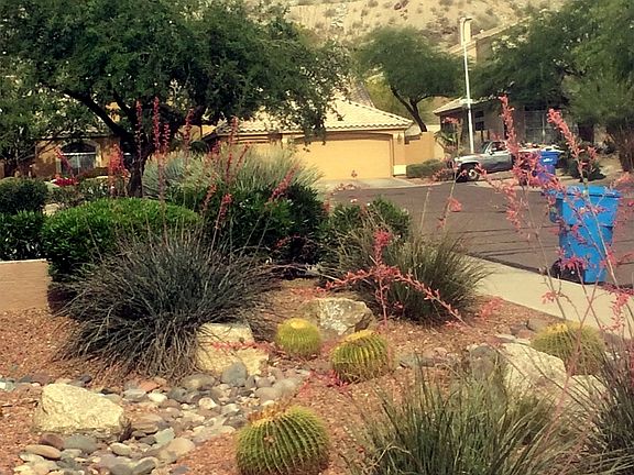 MT VIEWS WEST FROM DRIVE