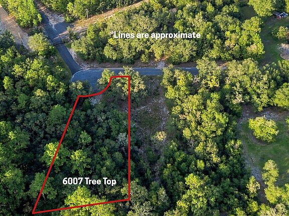 5th image of 6005 & 6007 Tree Top Ln