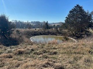 5th image of 9789 Old Olvey Rd