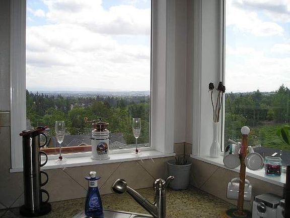Kitchen window