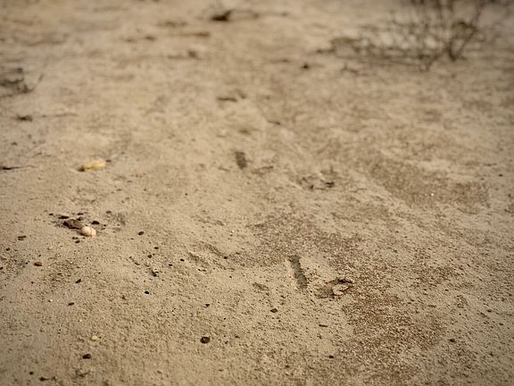 3rd image of 0 Rockville Rd