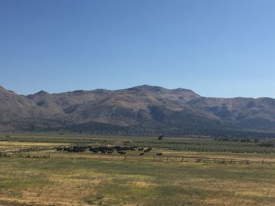 0 Unspecified, Reno, NV, 89510