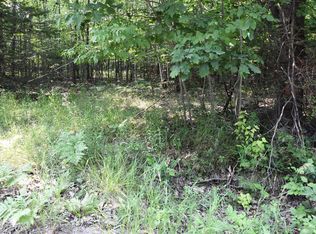 1825 Derby Rd, Indian River, MI 49749