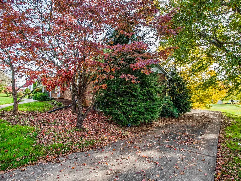 3924 Arline Dr — Photo 59