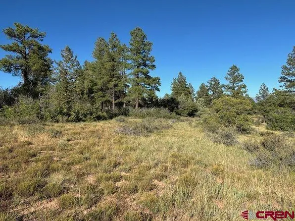 50 Eiffel Court, Pagosa Springs, CO 81147