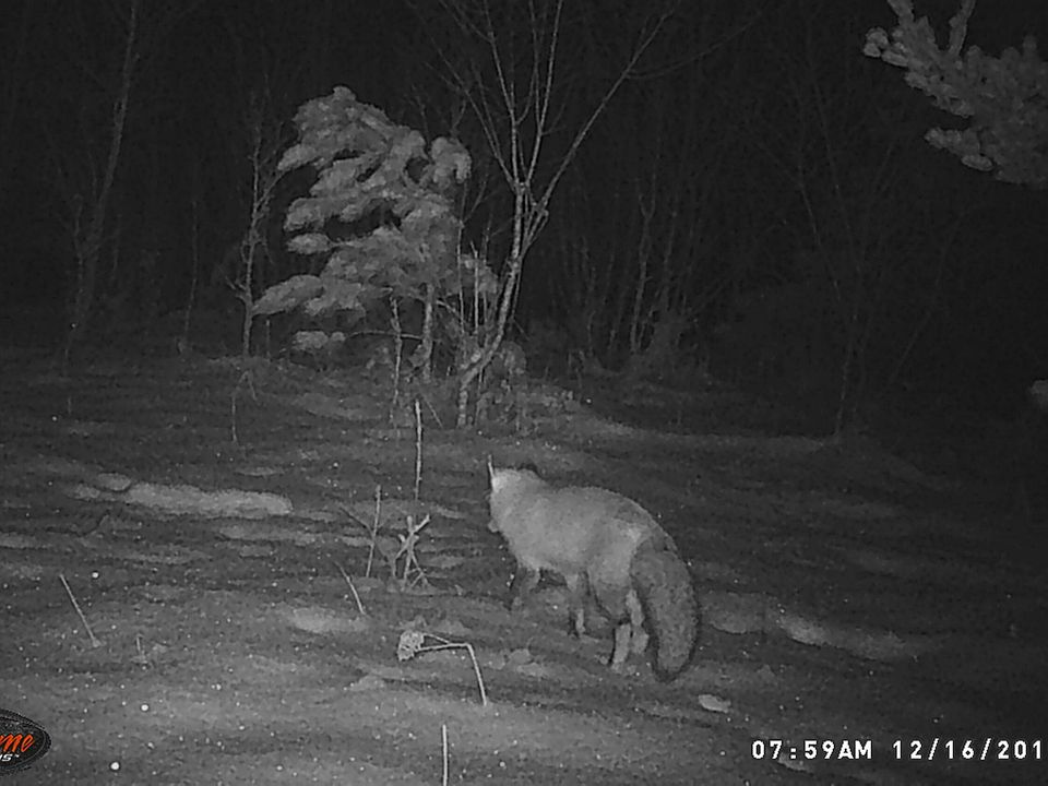 2nd image of V/L W 48 Rd