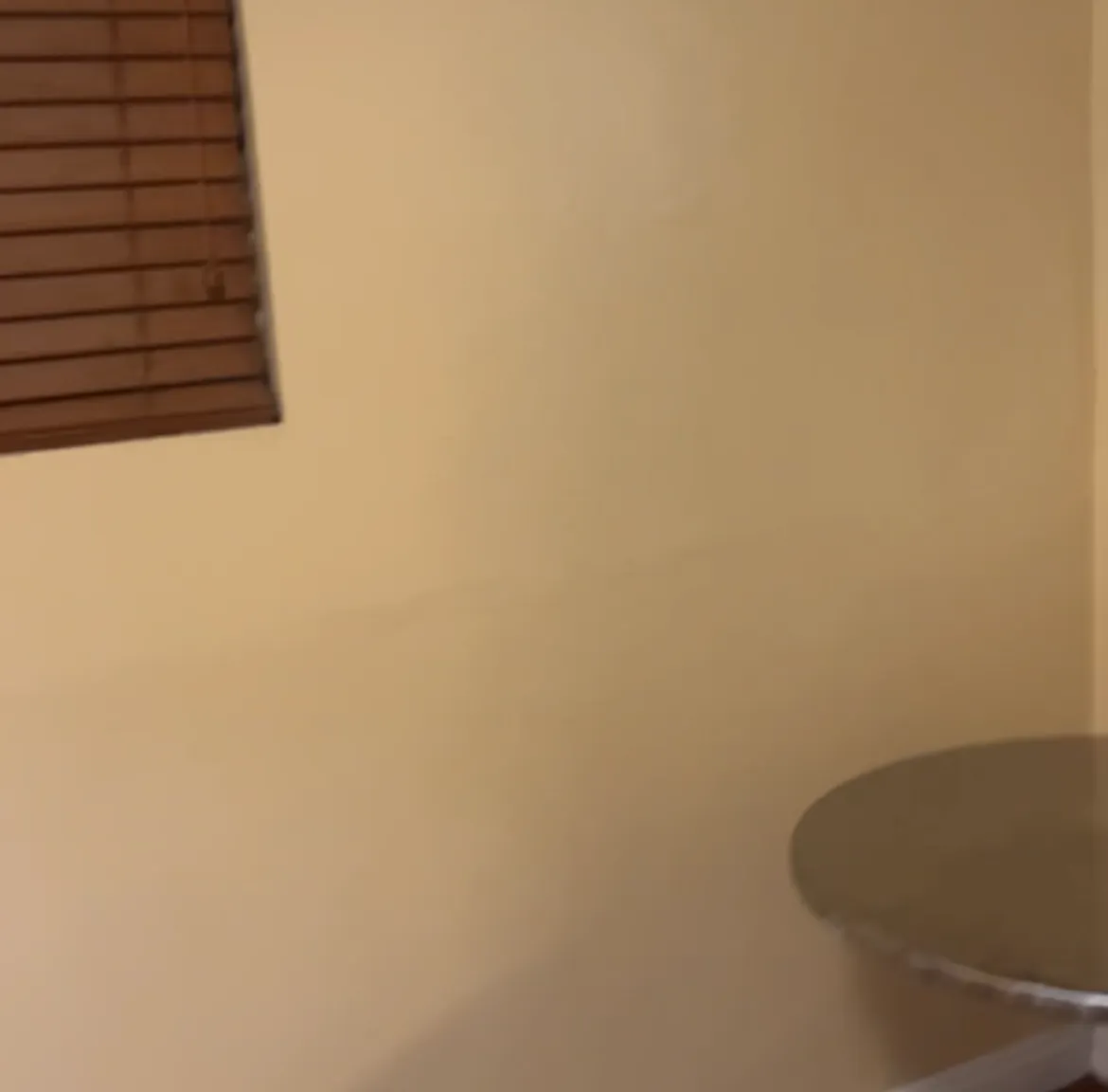 1 bed, $850 — Photo 3