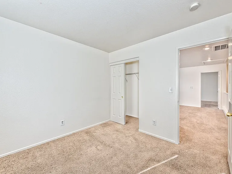 4222 Spruce Fern Ln — Photo 7