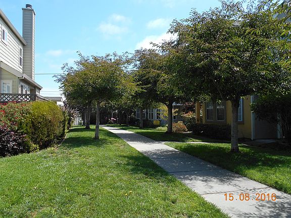 2nd image of 315 Village Cir