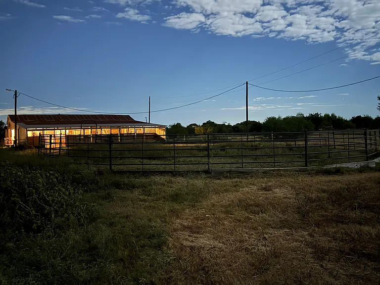 Grove Ln — Photo 22