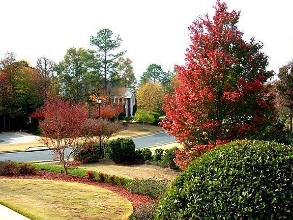 Beautiful Front View