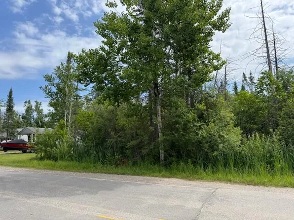 L-16 & Co Rd #17-V/L-489, Onaway, MI 49765