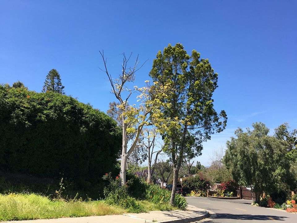 2nd image of 521 Silvana Way