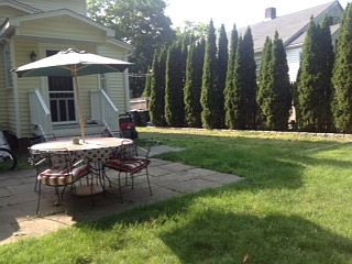 Large backyard and patio