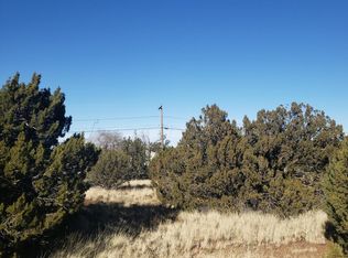 8496 Canyon Dr, Show Low, AZ 85901
