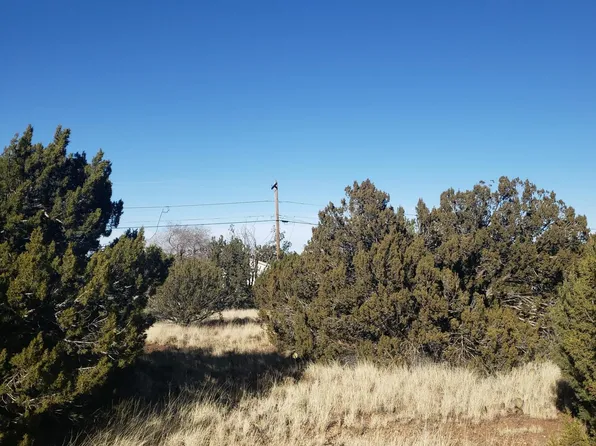 8496 Canyon Dr, Show Low, AZ 85901