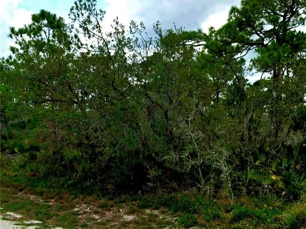 205 Raven Ave, Sebring, FL 33870