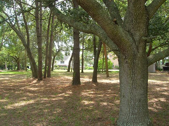 4th image of Oak Island Dr