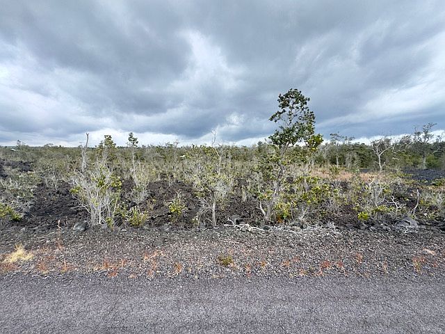 1st image of Orchid Pkwy Lot 2