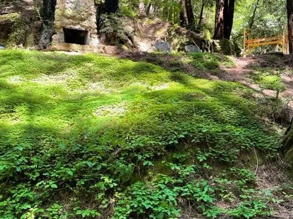 14724 Canyon 2 Road, Guerneville, CA 95446