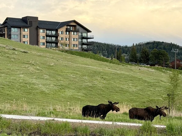 1550 AMBLE Drive UNIT 202, Steamboat Springs, CO 80487