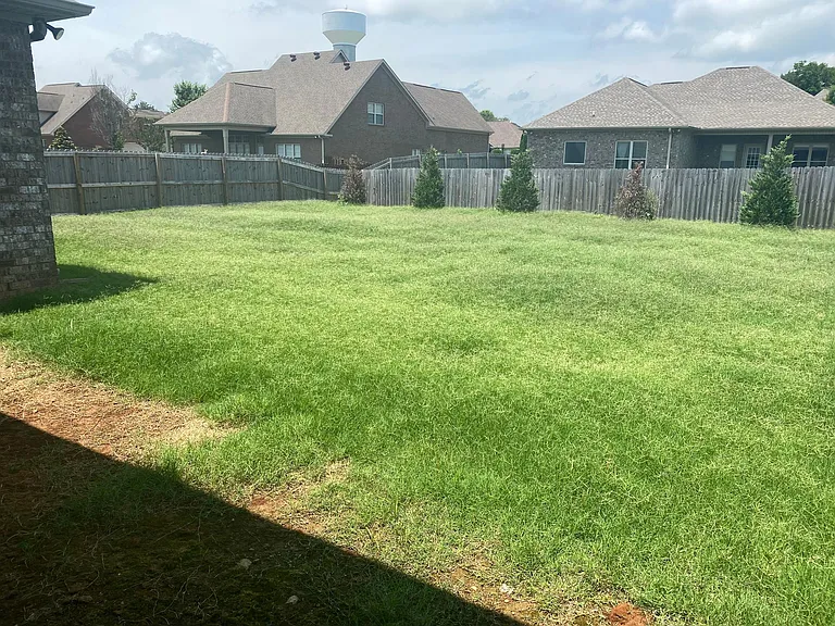 Large fenced backyard
